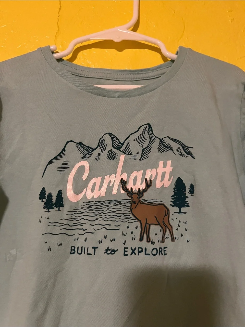 Carhartt Kids Long-Sleeve Graphic Tee — Sage Blue with Pink Logo